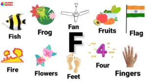 F ile Başlayan İngilizce Kelimeler